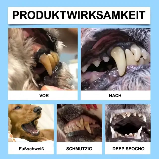 [Offizieller Shop]🐕‍🦺🐕‍🦺𝘋𝘪𝘢𝘱𝘢𝘴𝘰𝘯® Pet Dental & Digestive Health Oral Liquid – Frischer Atem, weniger Zahnstein & Unterstützung der Zahnfleischregeneration (für Katzen & Hunde) – Heute bis zu 70 % sparen! 德国