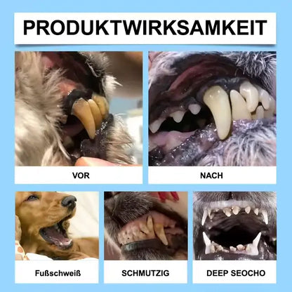 [Offizieller Shop]🐕‍🦺🐕‍🦺𝘋𝘪𝘢𝘱𝘢𝘴𝘰𝘯® Pet Dental & Digestive Health Oral Liquid – Frischer Atem, weniger Zahnstein & Unterstützung der Zahnfleischregeneration (für Katzen & Hunde) – Heute bis zu 70 % sparen! 德国