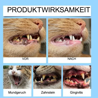 [Offizieller Shop]🐕‍🦺🐕‍🦺𝘋𝘪𝘢𝘱𝘢𝘴𝘰𝘯® Pet Dental & Digestive Health Oral Liquid – Frischer Atem, weniger Zahnstein & Unterstützung der Zahnfleischregeneration (für Katzen & Hunde) – Heute bis zu 70 % sparen! 德国