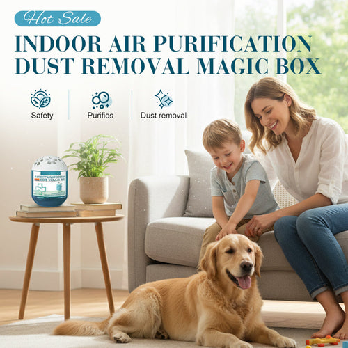 ☀️Neujahrs‑Special: 50 % Rabatt ✨ Magische Box zur Staub‑ & Luftreinigung für Innenräume 🌿 – kindersicher 💕